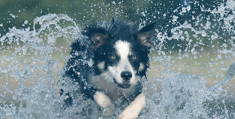 23 Percent of Software Developers Are Addicts